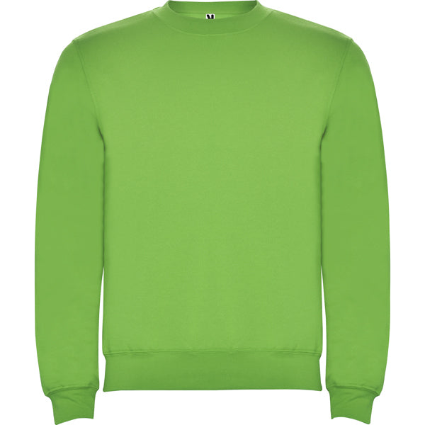 Pullover Clasica in Farbe Oasis Green