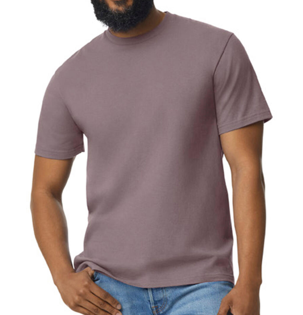 Softstyle Midweight Adult T-Shirt in Farbe Paragon