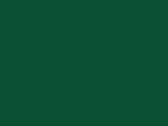 Heavy Cotton Adult T-Shirt in Farbe Fan Dark Green