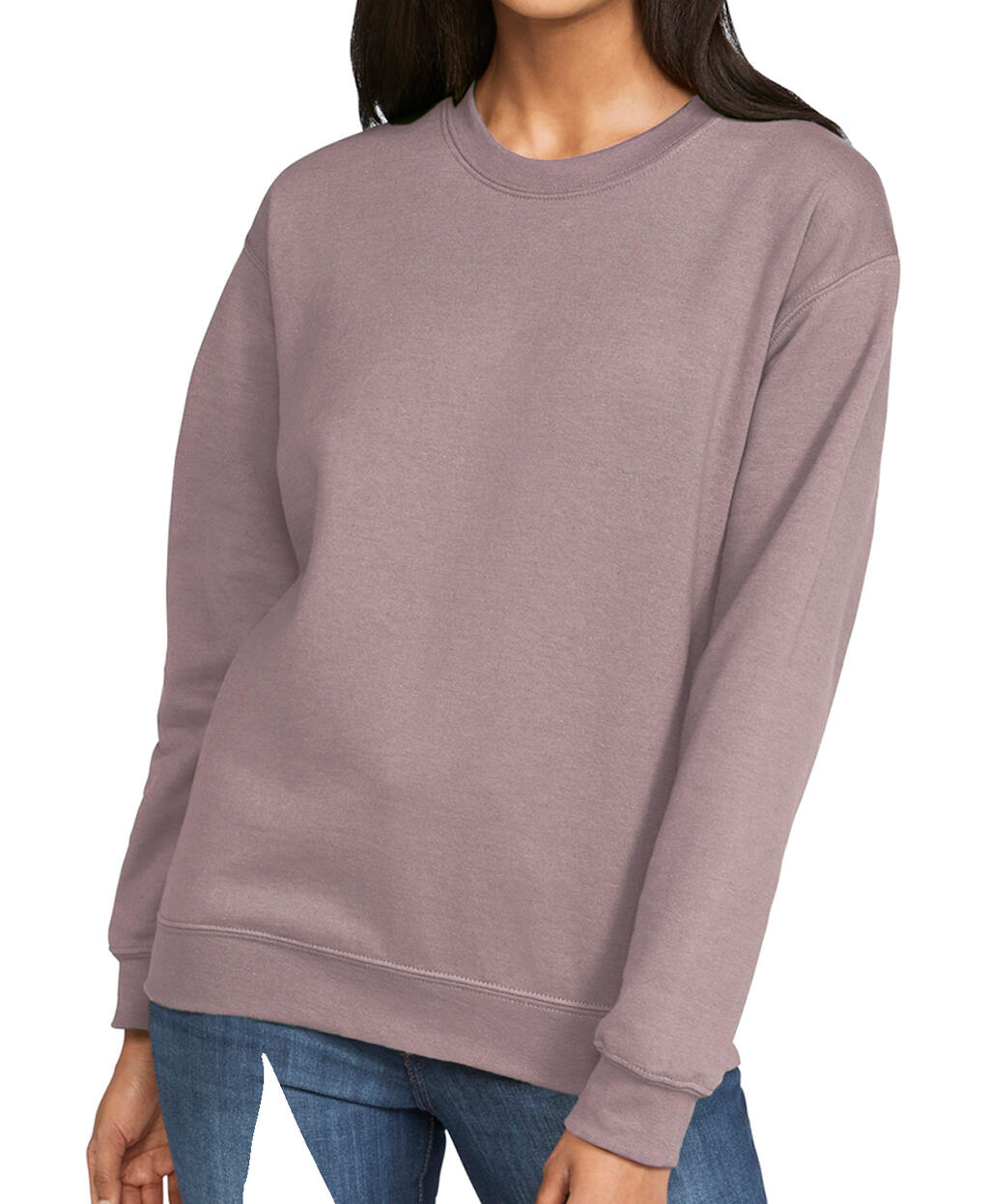 Softstyle Midweight Fleece Adult Crewneck in Farbe Paragon