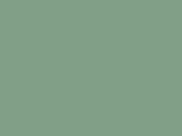 Softstyle Adult T-Shirt in Farbe Sage