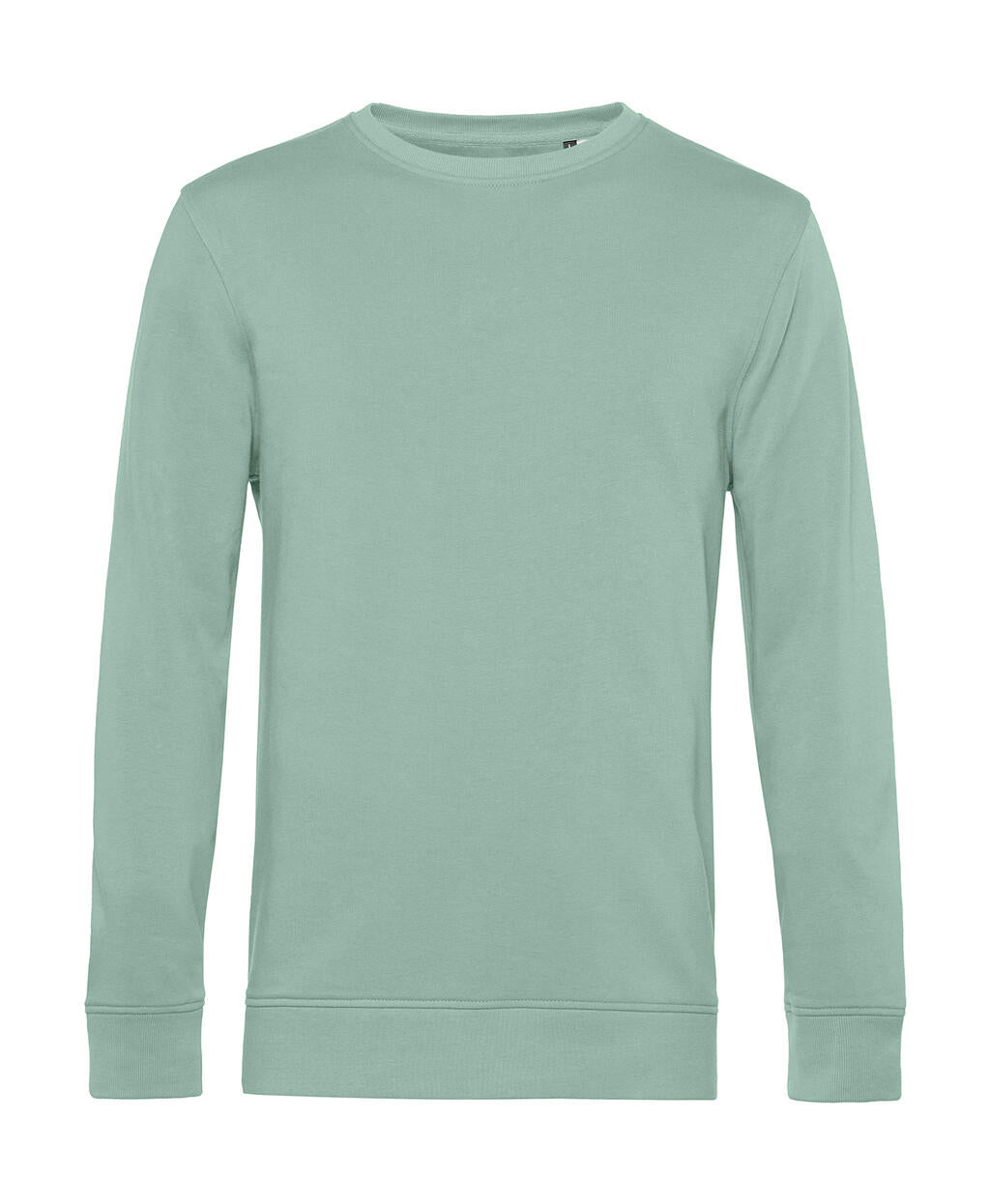 Organic Inspire Crew Neck in Farbe Sage